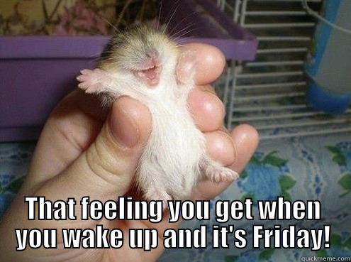  THAT FEELING YOU GET WHEN YOU WAKE UP AND IT'S FRIDAY! Misc