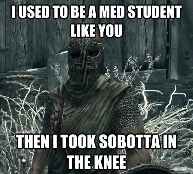 I used to be a med student like you then i took sobotta in the knee  Skyrim Guard