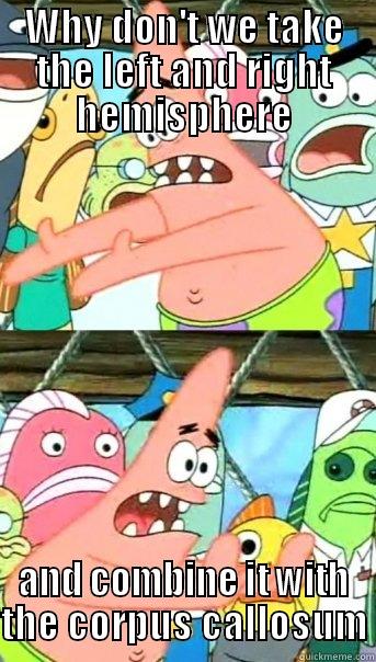 WHY DON'T WE TAKE THE LEFT AND RIGHT HEMISPHERE AND COMBINE IT WITH THE CORPUS CALLOSUM Push it somewhere else Patrick