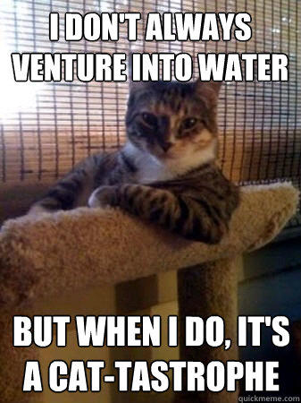 I don't always venture into water but when I do, It's a cat-tastrophe  