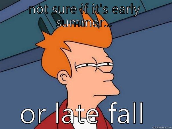 NOT SURE IF IT'S EARLY SUMMER... OR LATE FALL Futurama Fry