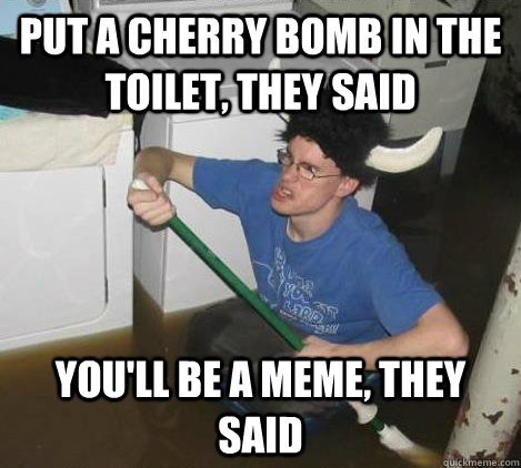 Put a Cherry Bomb in the toilet, they said You'll be a meme, they said - Put a Cherry Bomb in the toilet, they said You'll be a meme, they said  They said