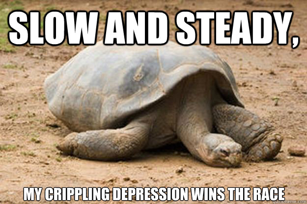 Slow and steady, My crippling depression wins the race  Depression Turtle