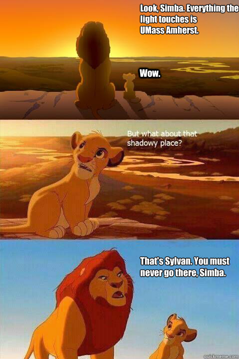 Look, Simba. Everything the light touches is 
UMass Amherst. Wow. That's Sylvan. You must never go there, Simba.   Lion King Shadowy Place