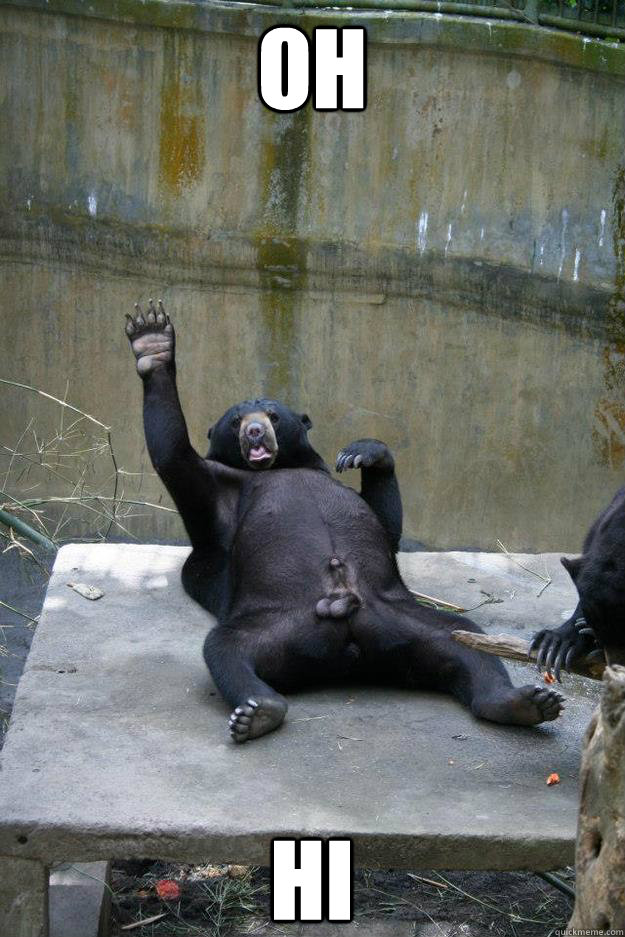 OH HI  Ballsy Bear