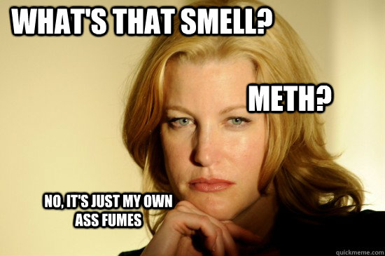 What's that smell? Meth? No, it's just my own ass fumes - What's that smell? Meth? No, it's just my own ass fumes  Skyler White