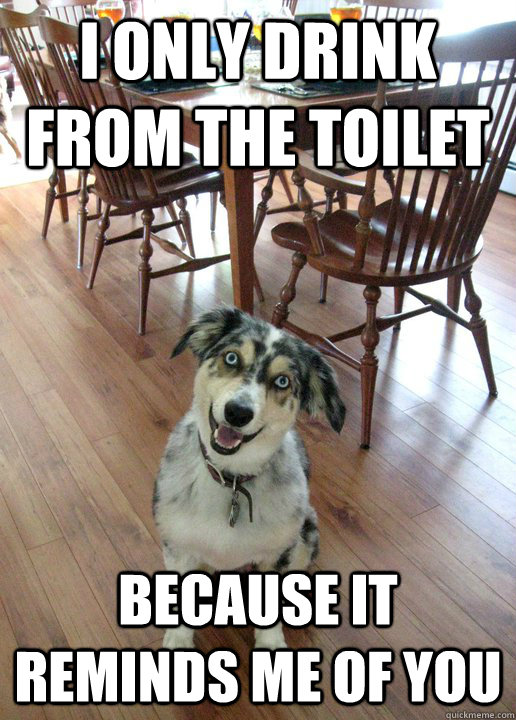 I only drink from the toilet because it reminds me of you  
