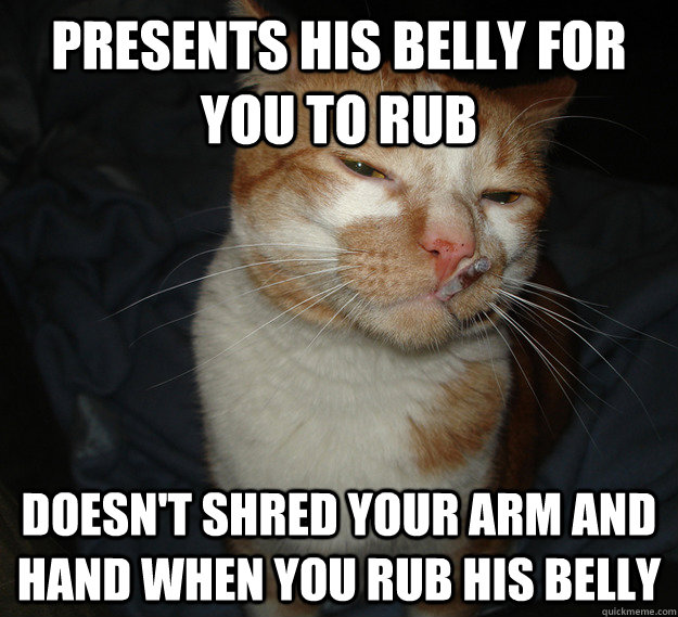 Presents his belly for you to rub Doesn't shred your arm and hand when you rub his belly  Good Guy Cat