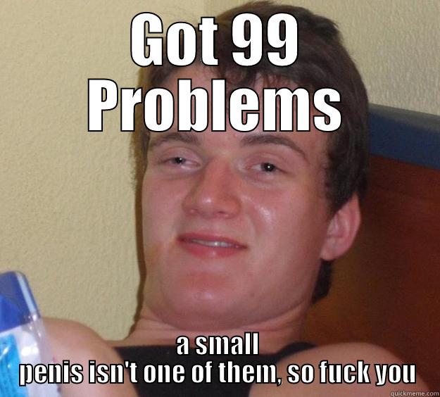 GOT 99 PROBLEMS A SMALL PENIS ISN'T ONE OF THEM, SO FUCK YOU 10 Guy