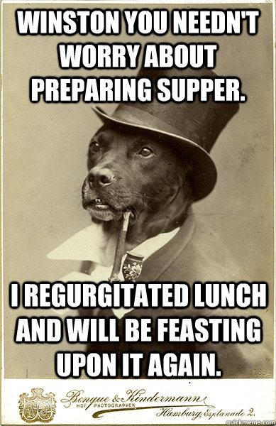 Winston you needn't worry about preparing supper. I regurgitated lunch and will be feasting upon it again.  Old Money Dog