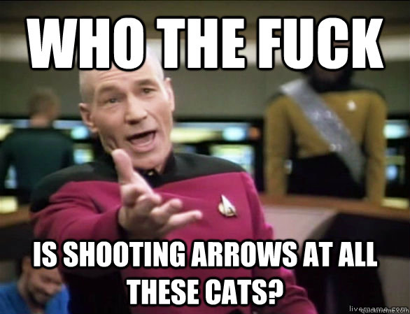 who the fuck is shooting arrows at all these cats?  Annoyed Picard HD