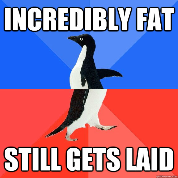 incredibly fat still gets laid - incredibly fat still gets laid  Socially Awkward Awesome Penguin