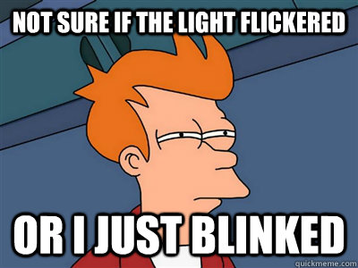 Not sure if the light flickered or I just Blinked  Fry meme