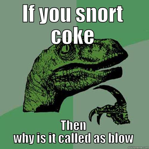 IF YOU SNORT COKE THEN WHY IS IT CALLED AS BLOW Philosoraptor