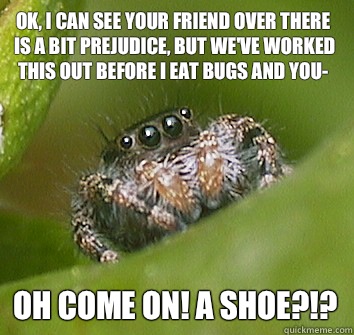 Ok, I can see your friend over there is a bit prejudice, but we've worked this out before I eat bugs and you- OH COME ON! A SHOE?!?  Misunderstood Spider