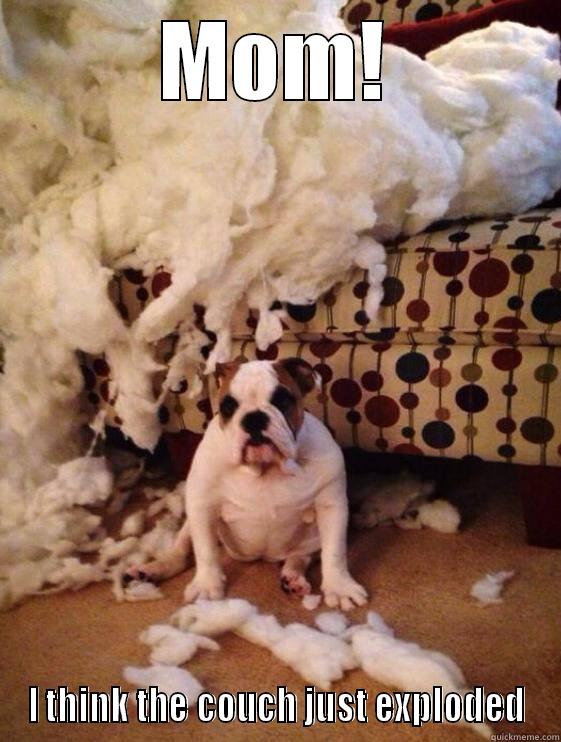 I didn't do it! - MOM! I THINK THE COUCH JUST EXPLODED Misc