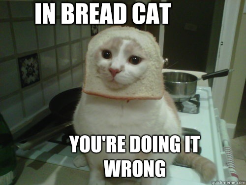 YOU'RE DOING IT WRONG IN BREAD CAT  In-Bread Cat