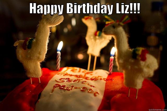            HAPPY BIRTHDAY LIZ!!!             Misc