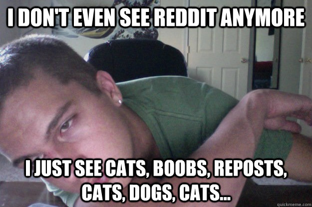 I don't even see reddit anymore i just see cats, boobs, reposts, cats, dogs, cats...  Hardcore Redditor