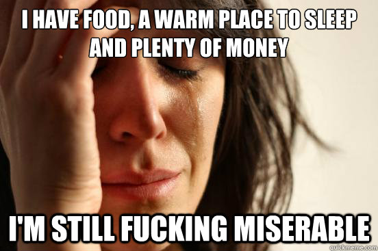 I HAVE food, a warm place to sleep and plenty of money I'M STILL FUCKING MISERABLE  First World Problems