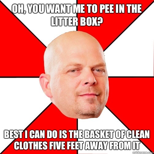 Oh, you want me to pee in the litter box? Best I can do is the basket of clean clothes five feet away from it  Pawn Star