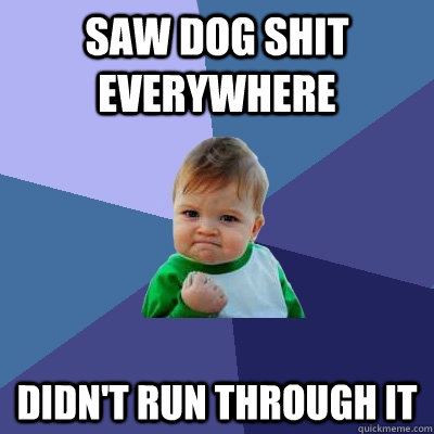 saw dog shit everywhere didn't run through it  Success Kid