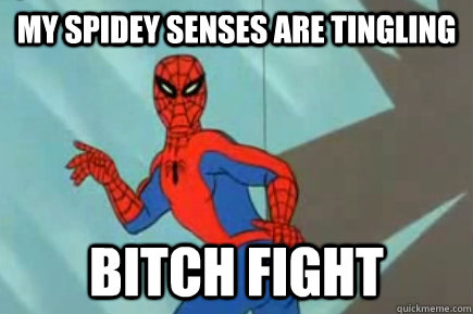 My spidey senses are tingling bitch fight - My spidey senses are tingling bitch fight  Misc