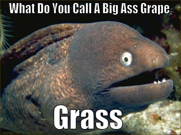 WHAT DO YOU CALL A BIG ASS GRAPE GRASS Bad Joke Eel