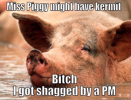 conservative downfall - MISS PIGGY MIGHT HAVE KERMIT  BITCH I GOT SHAGGED BY A PM Stoner Pig