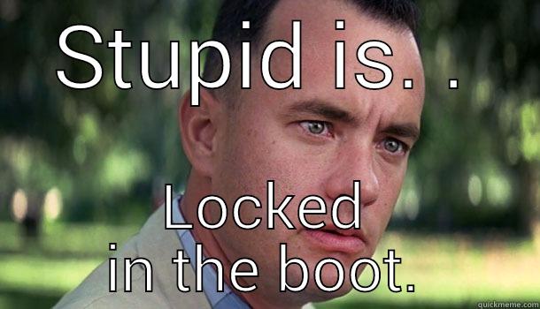 Stupid keys locked in car. - STUPID IS. . LOCKED IN THE BOOT. Offensive Forrest Gump