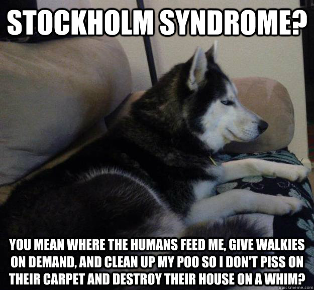 Stockholm syndrome? you mean where the humans feed me, give walkies on demand, and clean up my poo so i don't piss on their carpet and destroy their house on a whim?  - Stockholm syndrome? you mean where the humans feed me, give walkies on demand, and clean up my poo so i don't piss on their carpet and destroy their house on a whim?   Dismissive Husky