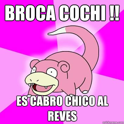 Broca cochi !! Es cabro chico al reves - Broca cochi !! Es cabro chico al reves  Slowpoke