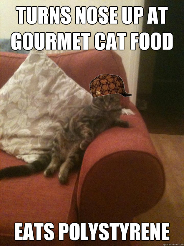 Turns nose up at gourmet cat food eats polystyrene  Scumbag Cat