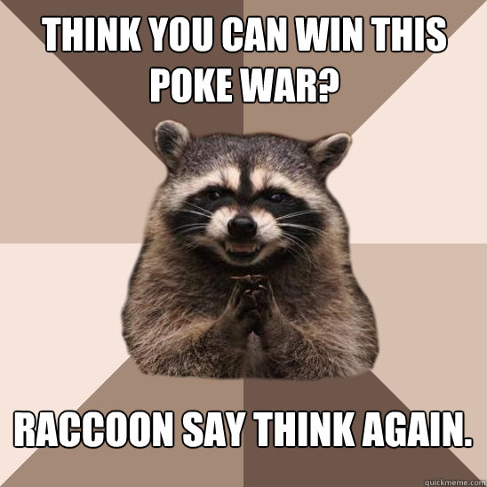 think you can win this poke war? raccoon say think again.  Evil Plotting Raccoon