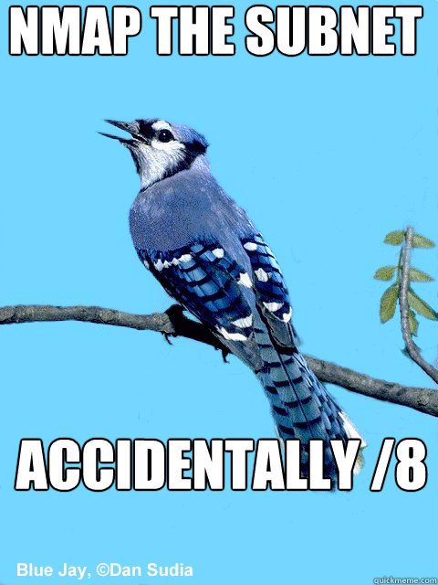 nmap the subnet accidentally /8  Blue Team Bird