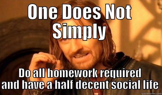 ONE DOES NOT SIMPLY DO ALL HOMEWORK REQUIRED AND HAVE A HALF DECENT SOCIAL LIFE Boromir