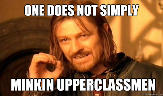 one DOes NOT SIMPLY minkin upperclassmen   ONE DOES NOT SIMPLY GET SOME TEA