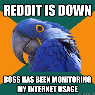 reddit is down boss has been monitoring my internet usage  Paranoid Parrot