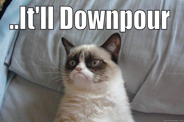 ..IT'LL DOWNPOUR  Grumpy Cat