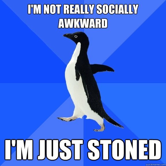 I'm not really socially awkward I'm just stoned  Socially Awkward Penguin