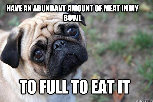 Have an abundant amount of meat in my bowl To full to eat it - Have an abundant amount of meat in my bowl To full to eat it  Misc