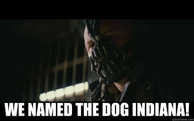  We named the dog Indiana!  Badass Bane