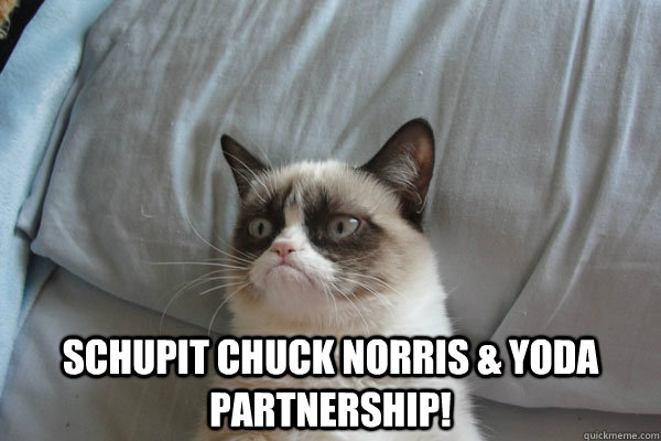  SCHUPIT CHUCK NORRIS & YODA PARTNERSHIP! -  SCHUPIT CHUCK NORRIS & YODA PARTNERSHIP!  Grumpy Cat 2