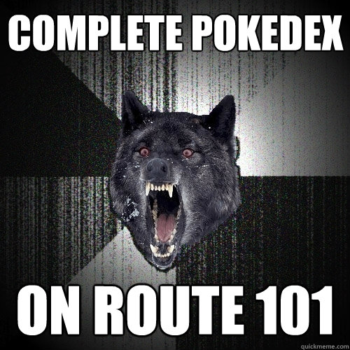 Complete Pokedex on route 101  Insanity Wolf