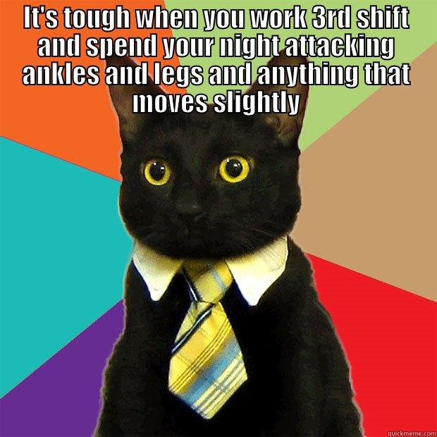 IT'S TOUGH WHEN YOU WORK 3RD SHIFT AND SPEND YOUR NIGHT ATTACKING ANKLES AND LEGS AND ANYTHING THAT MOVES SLIGHTLY  Business Cat