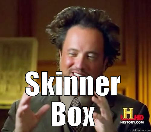  SKINNER BOX Success Kid