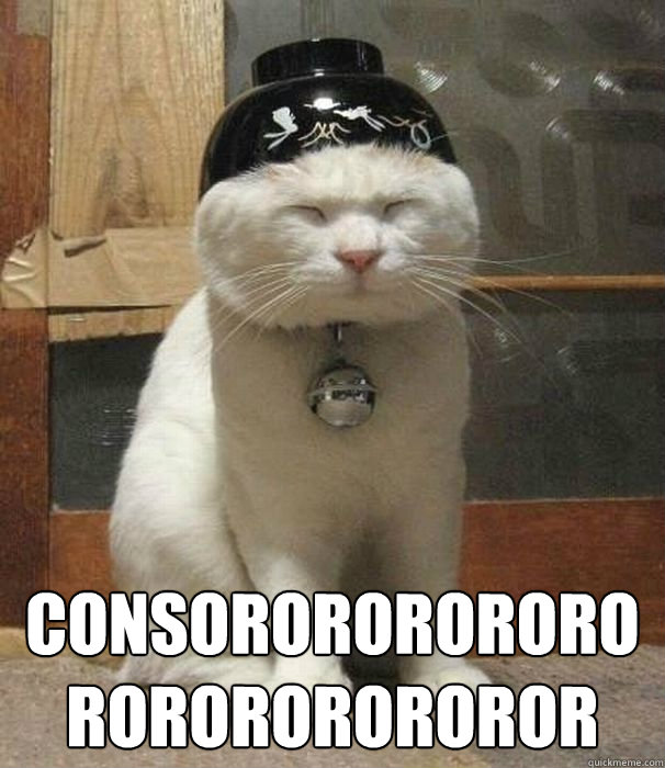  CONSOROROROROROROROROROROROR  Ching Chong