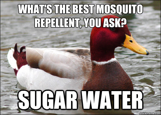what's the best mosquito 
repellent, you ask? sugar water  Malicious Advice Mallard