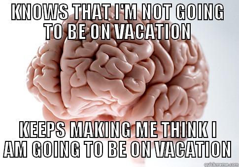 Holiday Brain - KNOWS THAT I'M NOT GOING TO BE ON VACATION KEEPS MAKING ME THINK I AM GOING TO BE ON VACATION Scumbag Brain