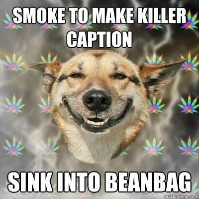 smoke to make killer caption sink into beanbag  Stoner Dog